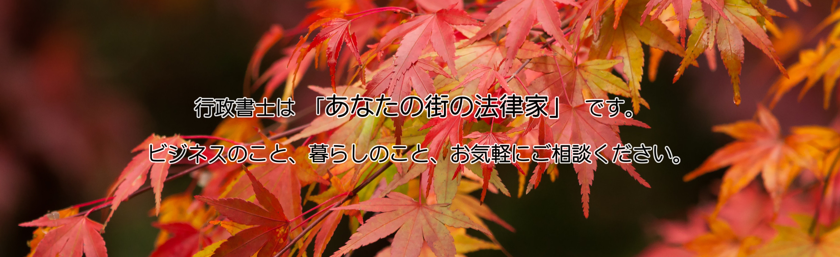 行政書士は「あなたの街の法律家」です。ビジネスのこと、暮らしのこと、お気軽にご相談ください。